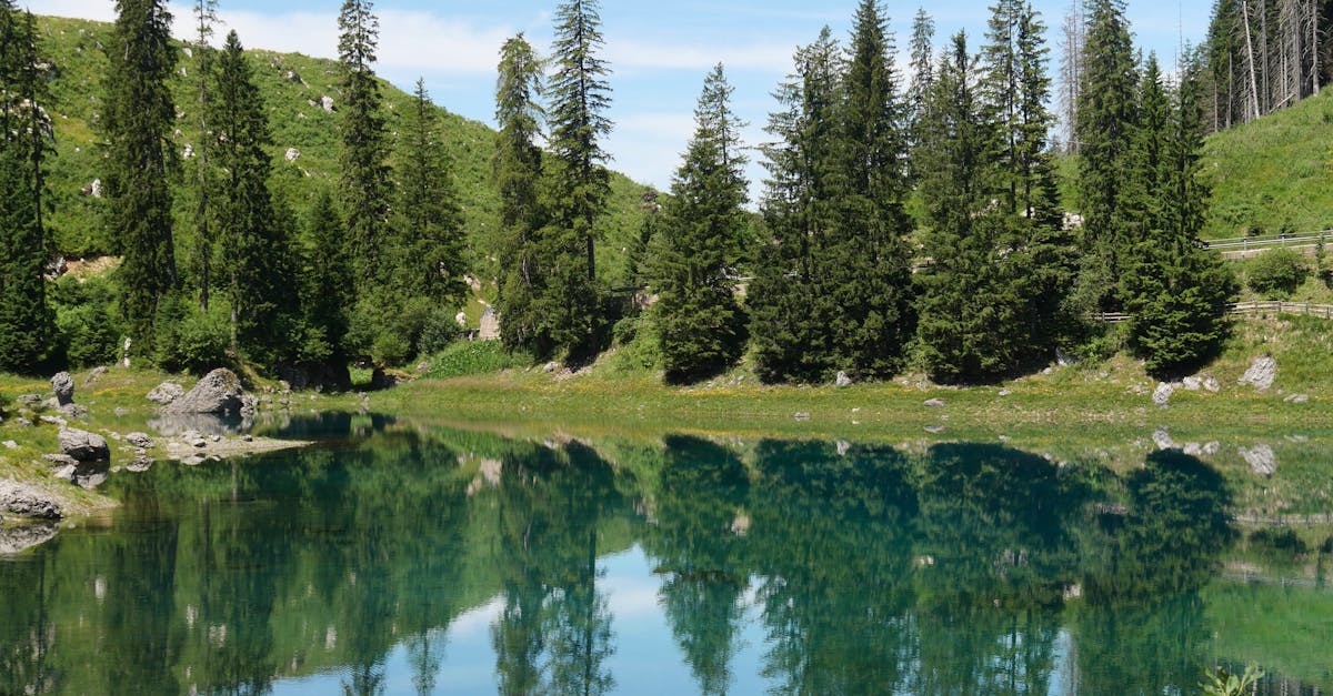 découvrez l'écotourisme, une façon responsable de voyager qui préserve la nature et soutient les communautés locales. profitez d'expériences authentiques en harmonie avec l'environnement tout en minimisant votre empreinte écologique.