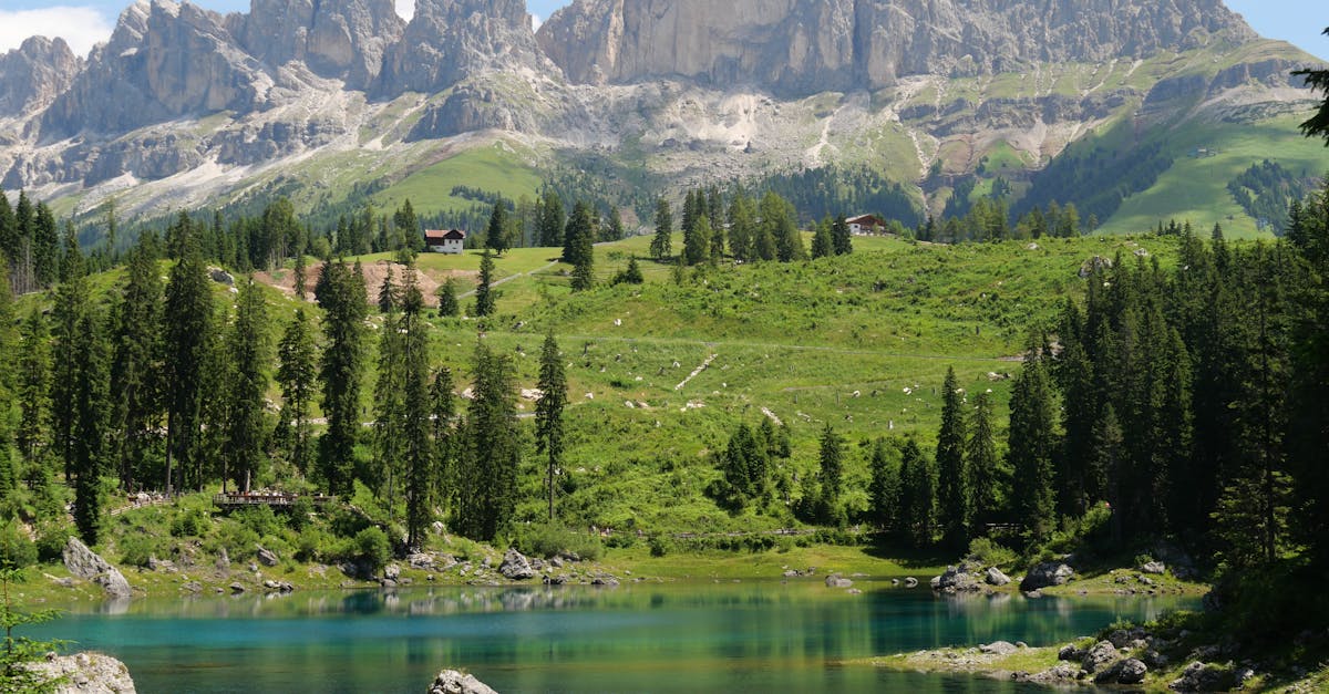 découvrez l'écotourisme : une approche durable du voyage qui respecte l'environnement et les cultures locales. explorez des destinations préservées, participez à des activités respectueuses de la nature et vivez des expériences authentiques tout en contribuant à la conservation de notre planète.