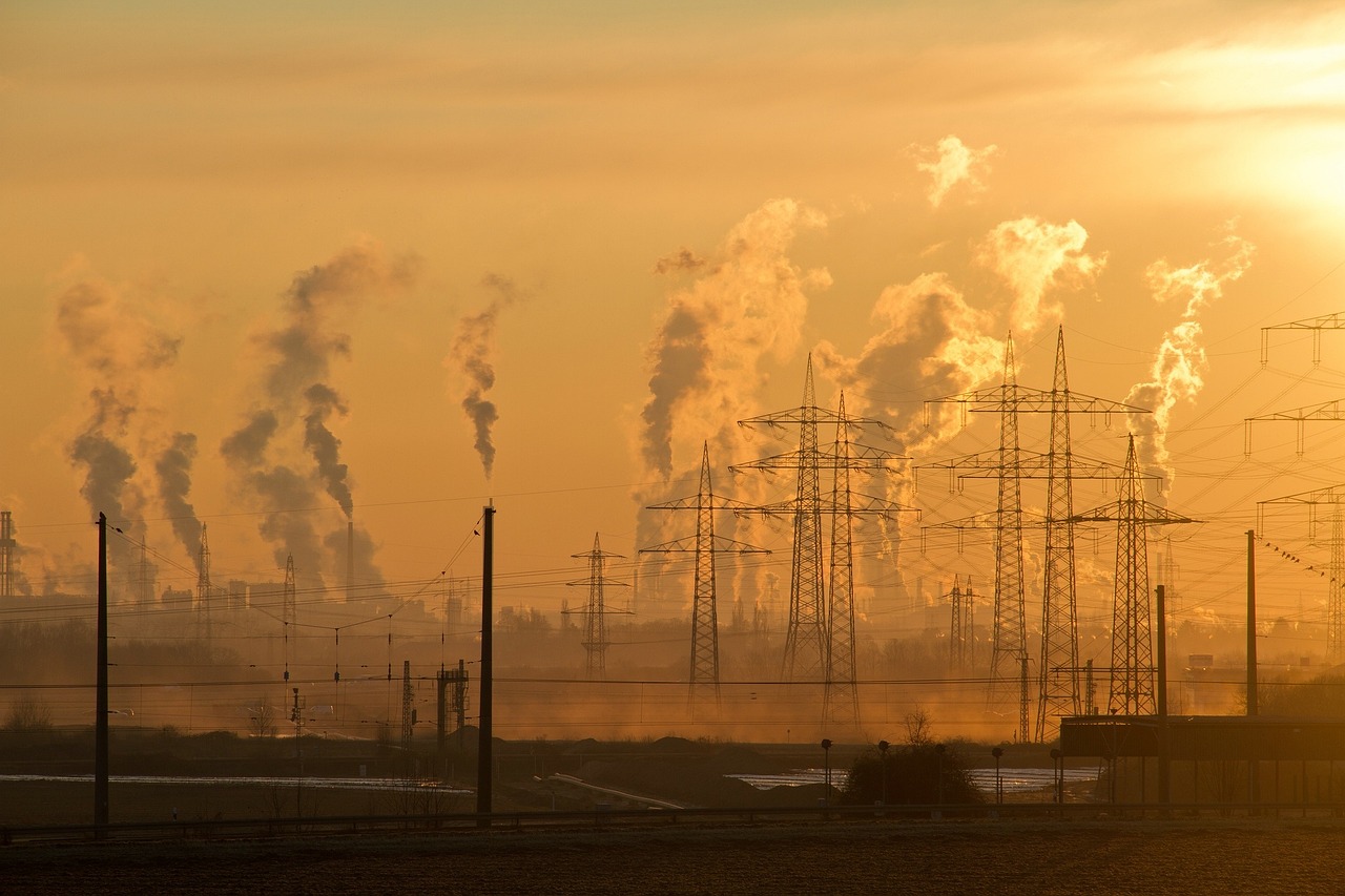 découvrez les enjeux environnementaux cruciaux qui affectent notre planète aujourd'hui. explorez les défis liés au changement climatique, à la pollution et à la biodiversité, et apprenez comment nous pouvons tous contribuer à un avenir durable.