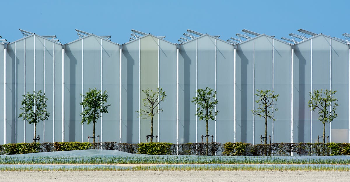 découvrez des stratégies efficaces pour la réduction des gaz à effet de serre. apprenez comment adopter des pratiques durables pour protéger notre planète et contribuer à la lutte contre le changement climatique.