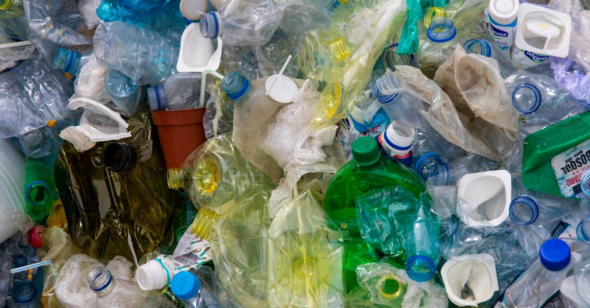 découvrez comment la valorisation des déchets transforme les matériaux recyclables en ressources précieuses, contribuant ainsi à une économie circulaire durable et à la protection de l'environnement.