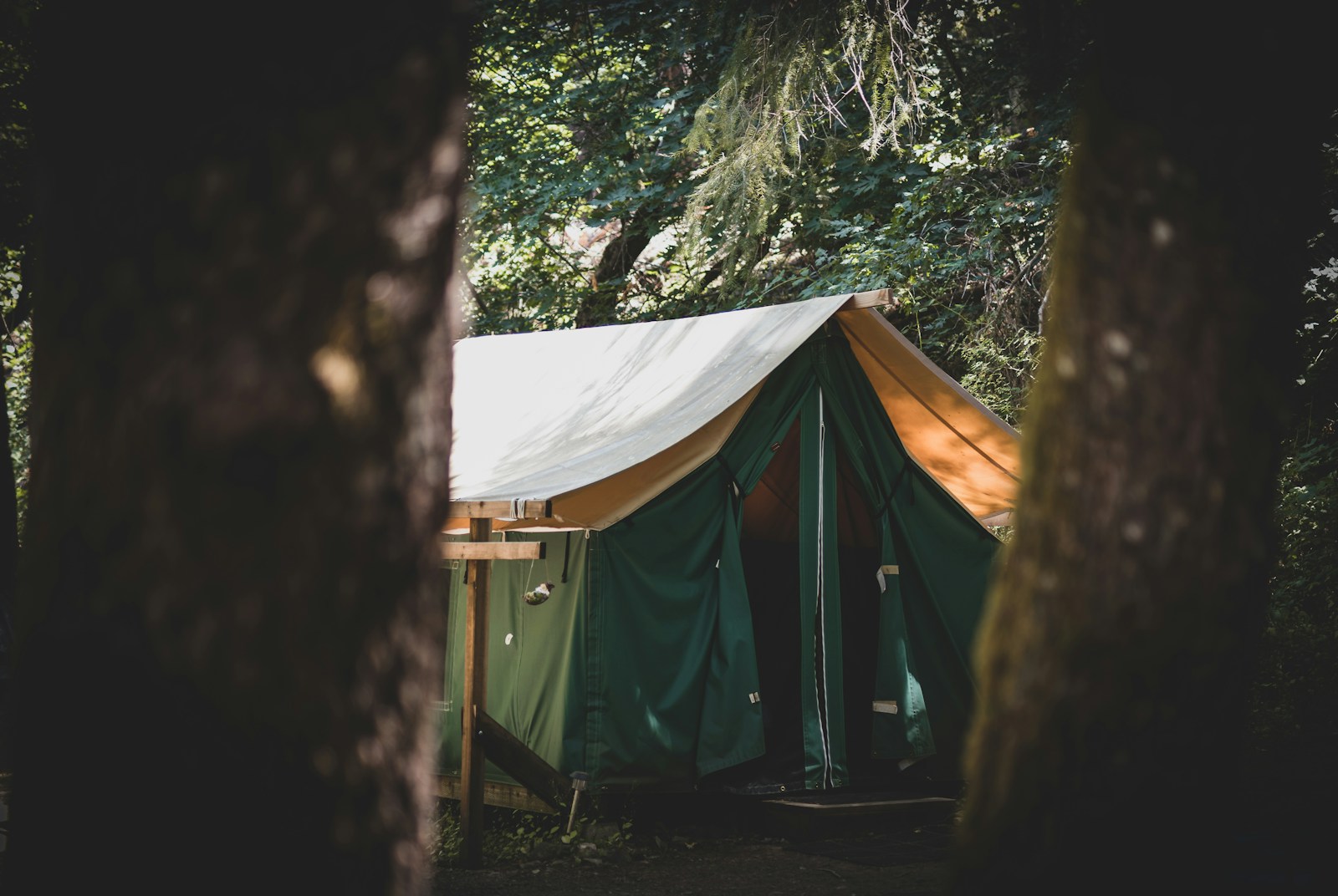 Découvrez le Charme Authentique d’un Séjour en Camping dans la Drôme Provençale