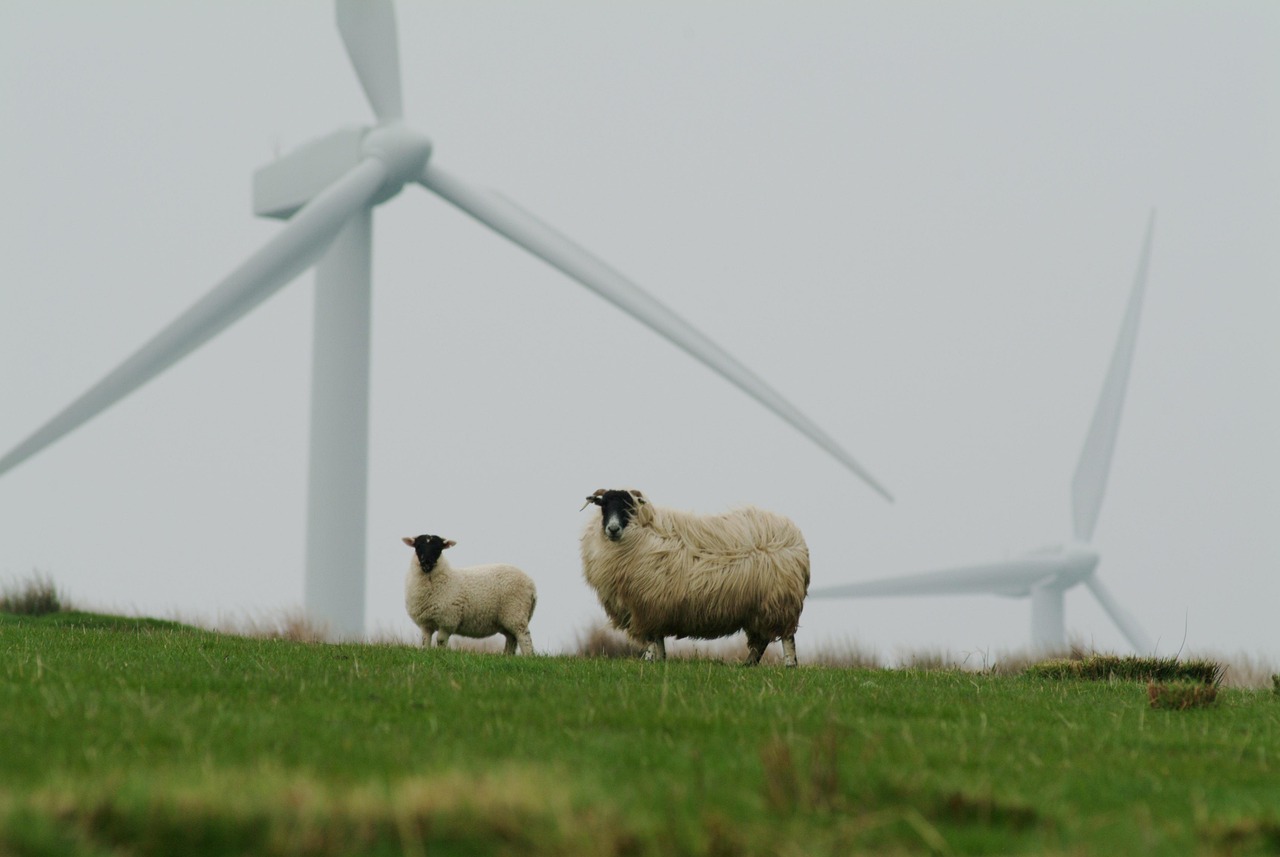 découvrez ce qu'est la sustainability (durabilité), son importance dans la protection de l'environnement, les pratiques écoresponsables et comment adopter un mode de vie plus durable au quotidien.