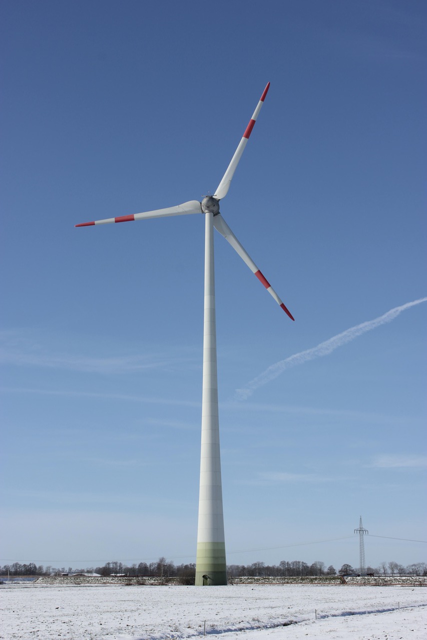 découvrez comment adopter la sustainability dans votre quotidien et votre entreprise grâce à nos conseils pratiques, astuces et actualités sur le développement durable et la préservation de l'environnement.