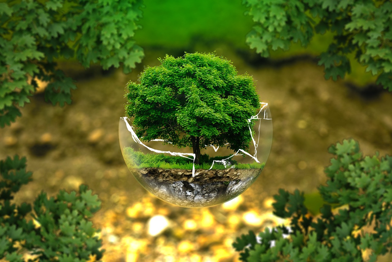 Soutien aux entreprises dans leur démarche vers une transition écologique réussie