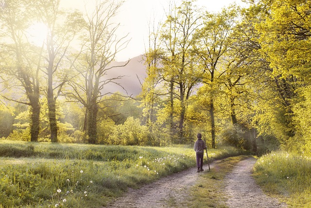 &Eacute;coproduction : Le Cin&eacute;ma Emprunte la Voie de la Transition &Eacute;cologique [VID&Eacute;O