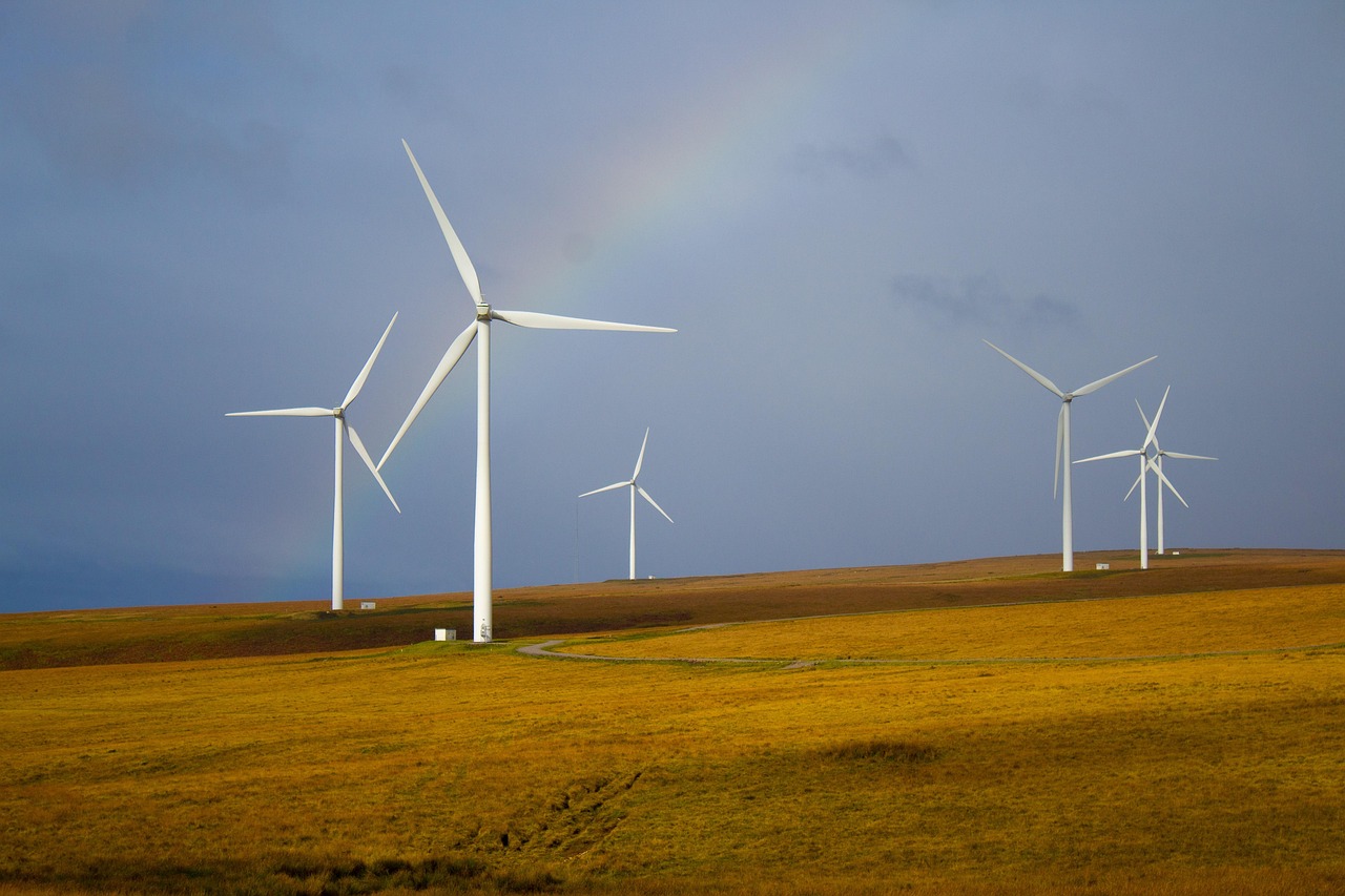Allemagne : la baisse des émissions de carbone propulsée par l’essor des énergies renouvelables