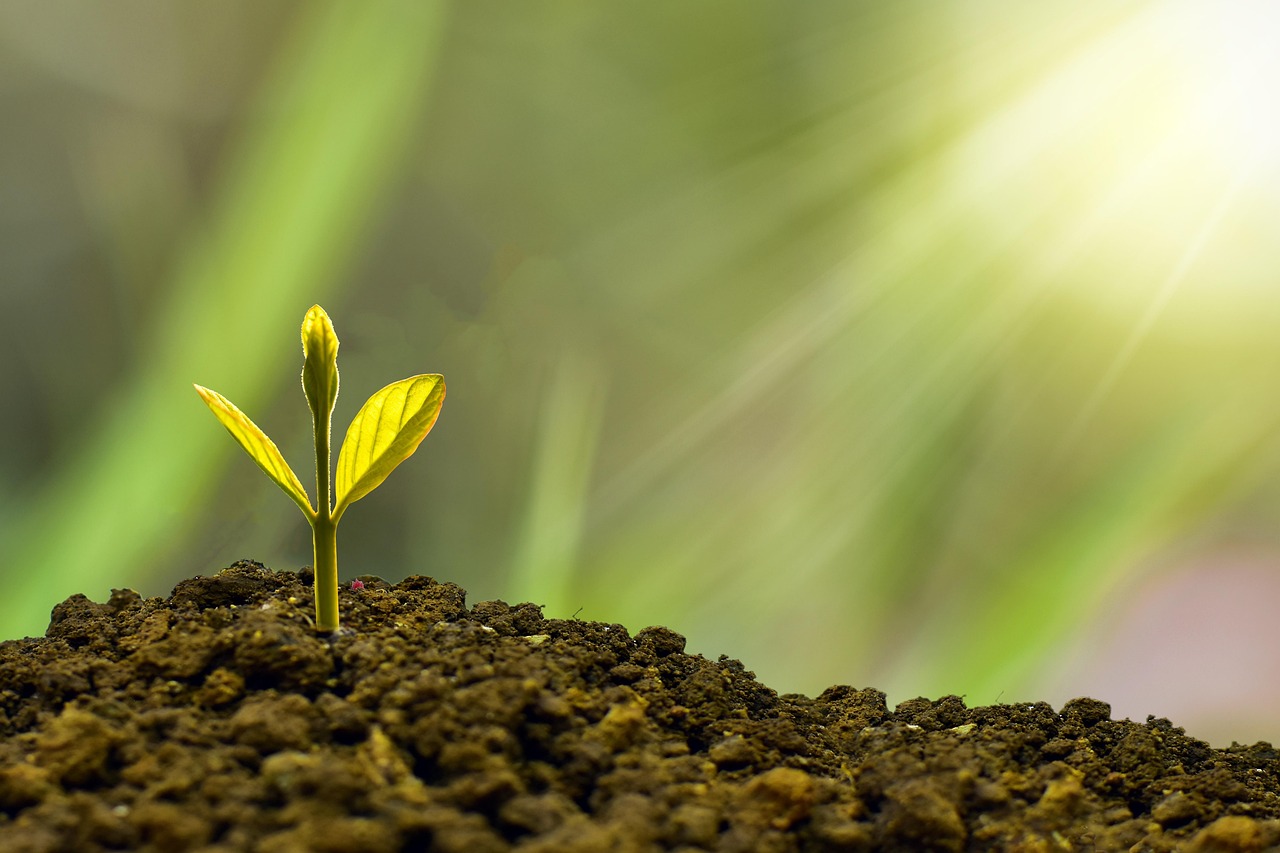 découvrez la durabilité : principes, enjeux et solutions pour un avenir respectueux de l'environnement, des ressources et des générations futures. adoptez des pratiques responsables pour un monde plus durable.