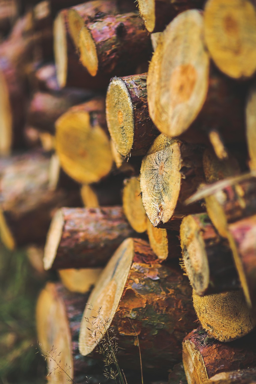 découvrez les avantages du chauffage au bois : une solution écologique, économique et efficace pour chauffer votre maison tout en respectant l'environnement. conseils, astuces et comparatifs sur les différents systèmes de chauffage au bois.