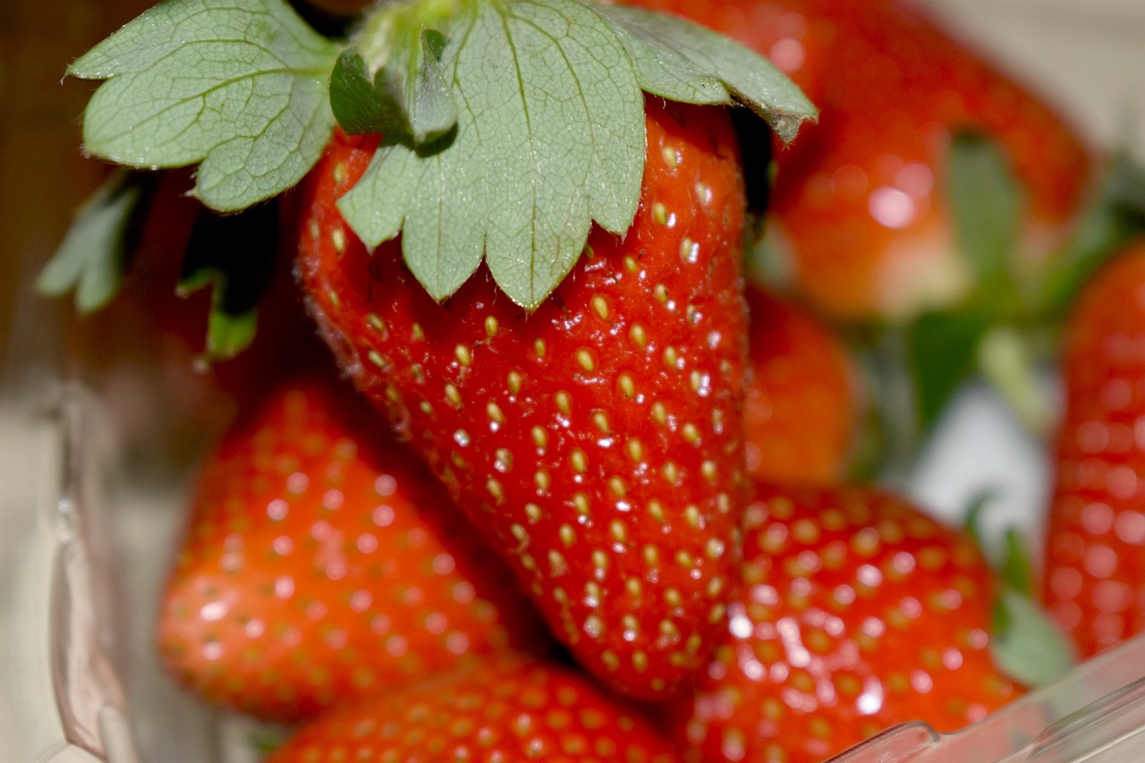 découvrez les avantages clés, astuces et conseils pour maximiser votre bien-être et améliorer votre quotidien grâce à notre guide complet sur les bénéfices incontournables.