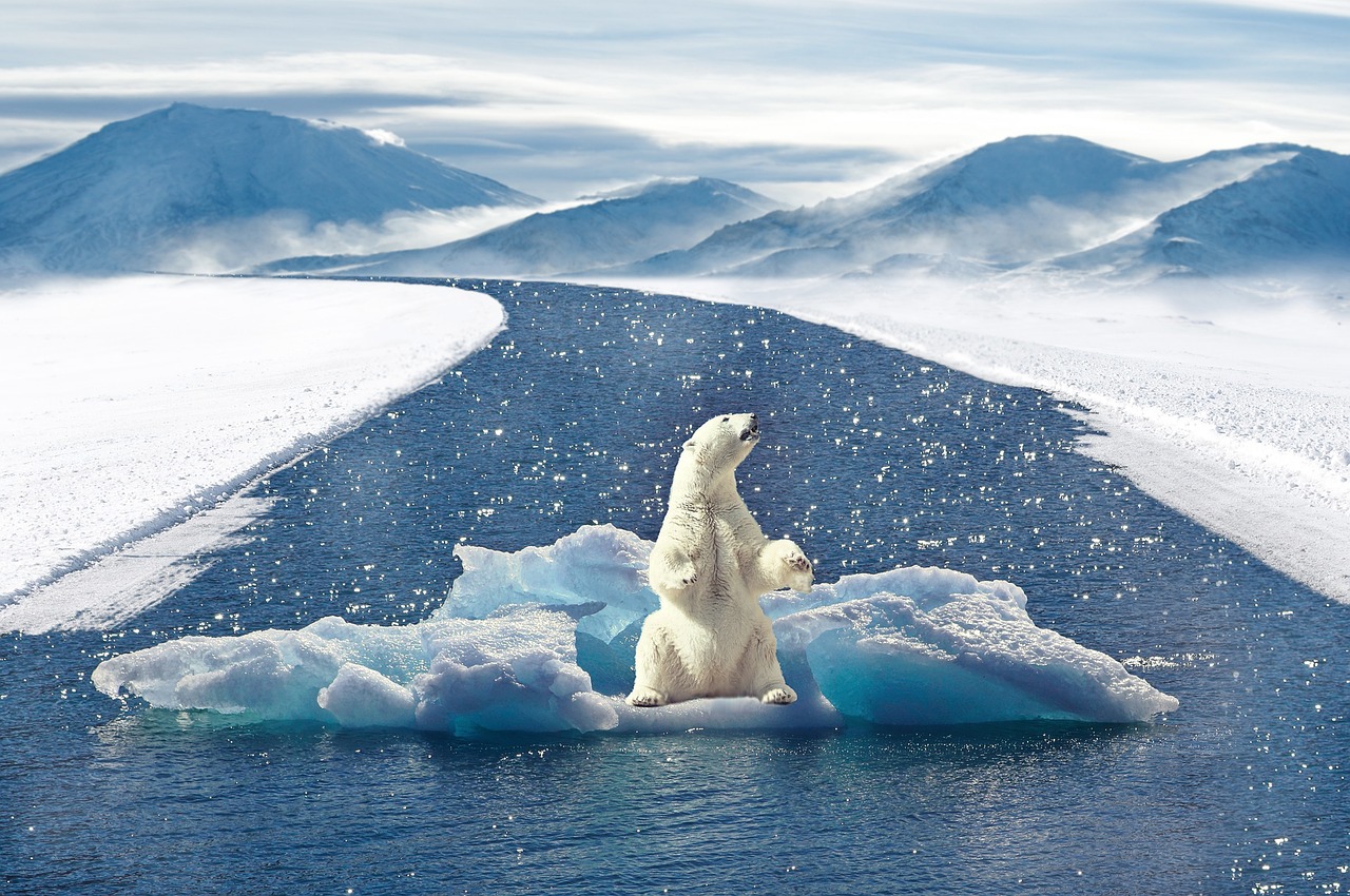 découvrez des informations essentielles, des actualités et des conseils pour comprendre le climat, ses enjeux et les actions à adopter pour préserver notre environnement.