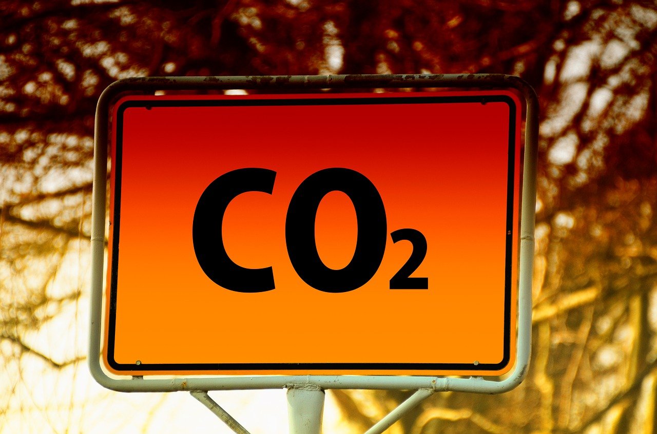 découvrez les enjeux et les solutions de la transition écologique : adopter des modes de vie durables, réduire l’empreinte carbone et préserver la planète pour les générations futures.
