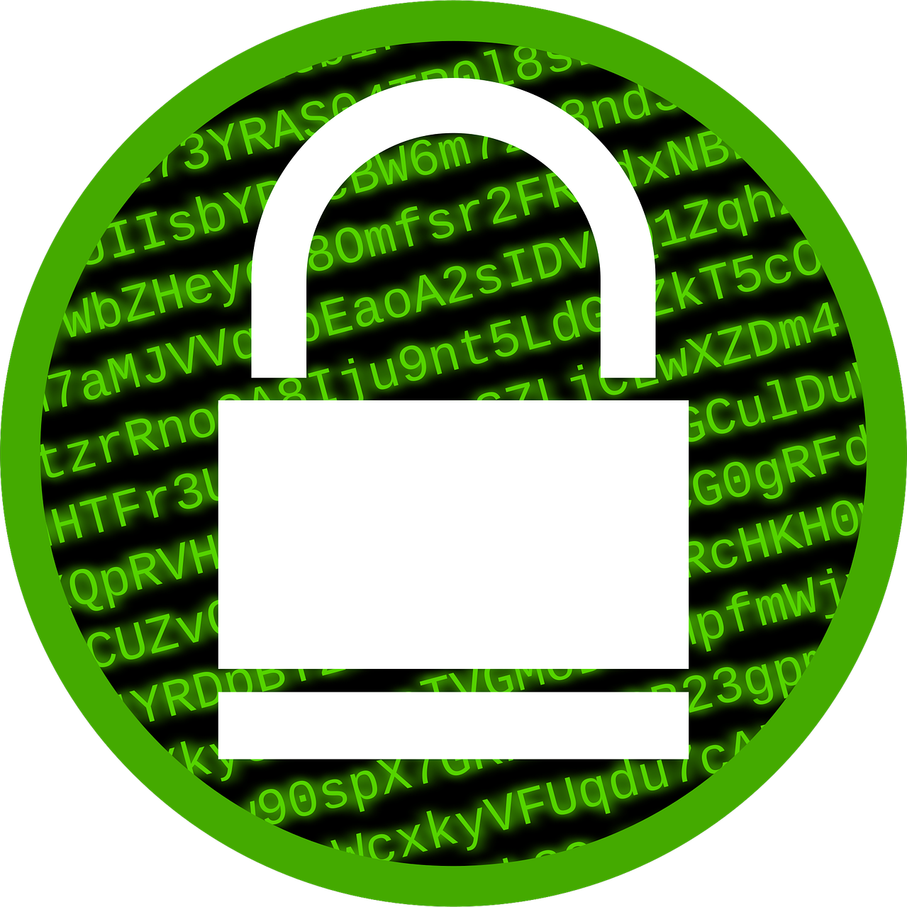 L’informatique verte : une solution innovante pour diminuer notre empreinte carbone