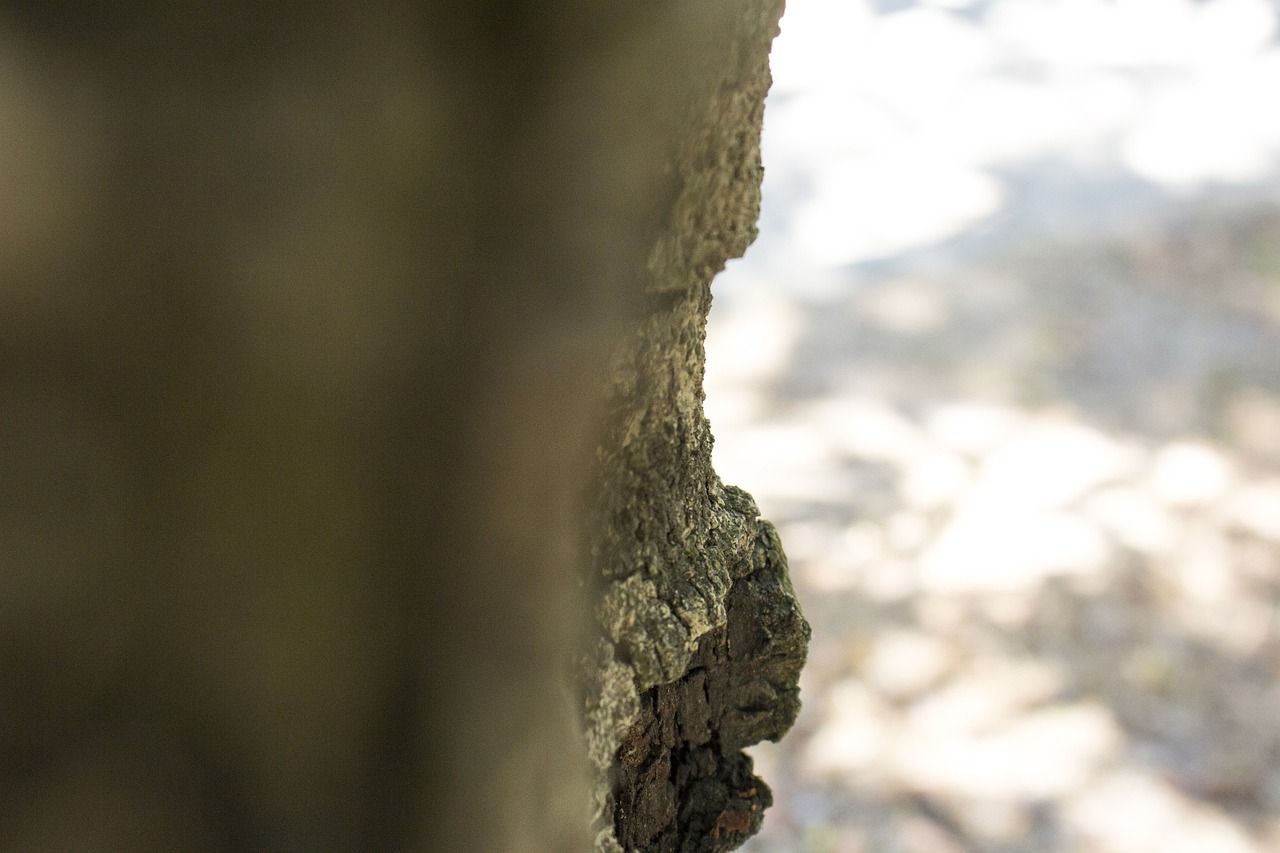 inscrivez-vous facilement et rapidement sur notre plateforme pour accéder à l'ensemble de nos services exclusifs. complétez votre enregistrement en quelques clics.