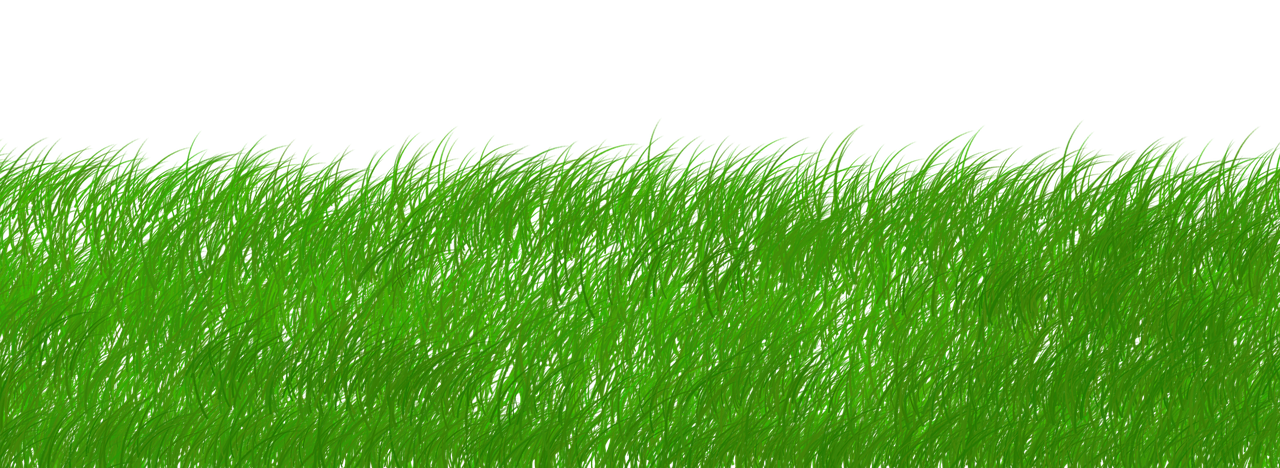 découvrez tout sur la durabilité : principes, enjeux, conseils pratiques et solutions innovantes pour adopter un mode de vie plus respectueux de l'environnement et des générations futures.