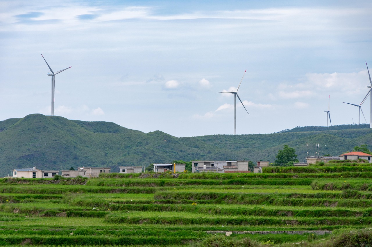 Développement Durable : Plongée dans le Rapport d’Investissement Écologique 2024 de la CDPQ