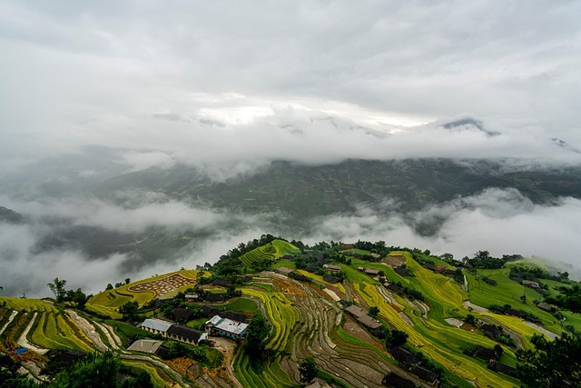 vendre son entreprise en 2025 : &eacute;tapes cl&eacute;s, conseils et pi&egrave;ges &agrave; &eacute;viter