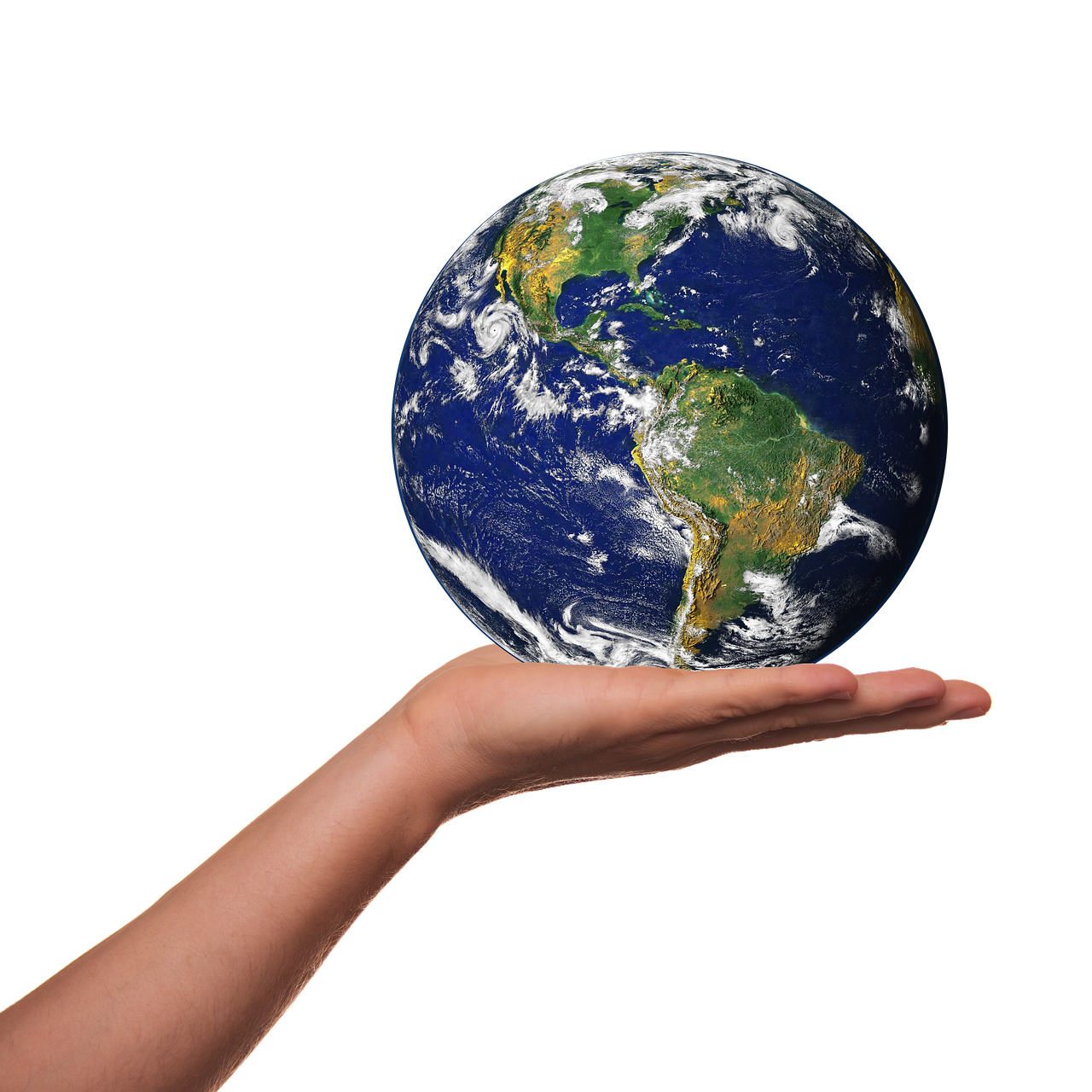 Sensibilisation &eacute;cologique : &eacute;duquer pour un avenir plus vert